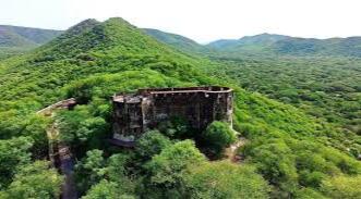 Jhalana Leopard Safari Tour